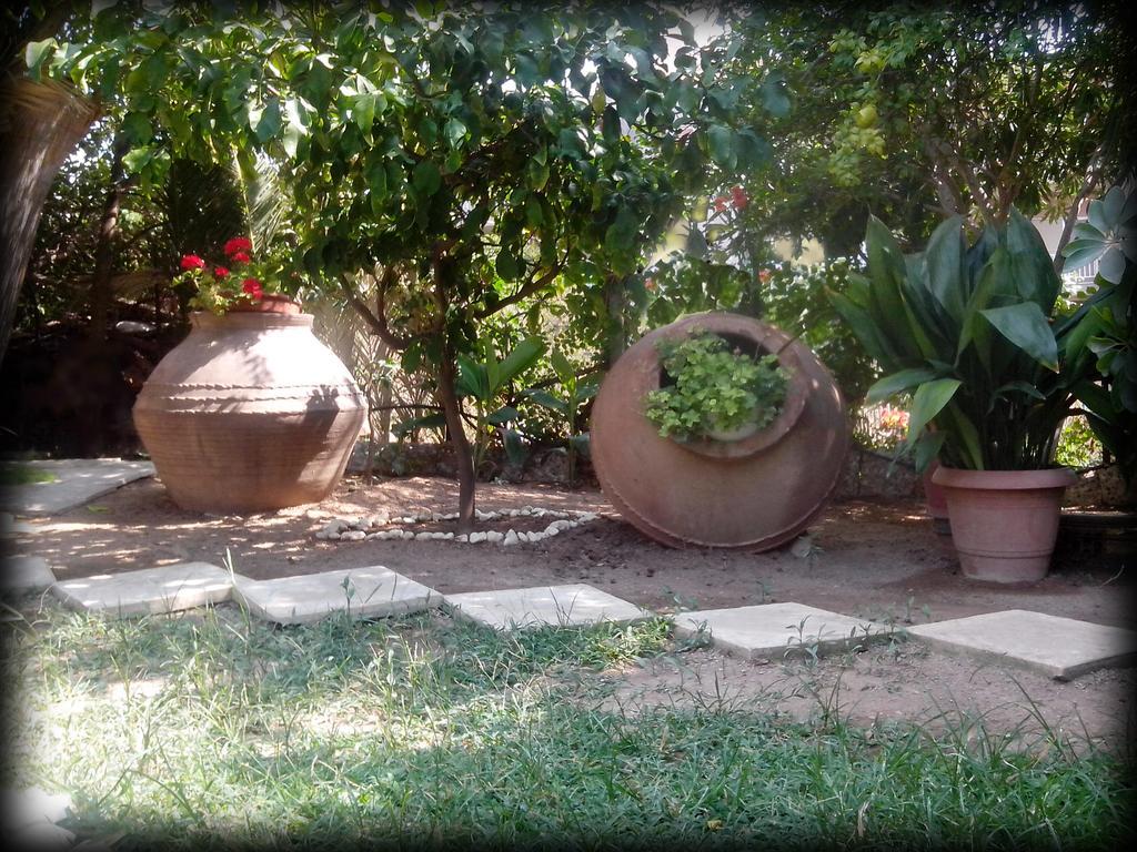 לאוטרה אדיפסאו Araliki Apartments & Studios מראה חיצוני תמונה