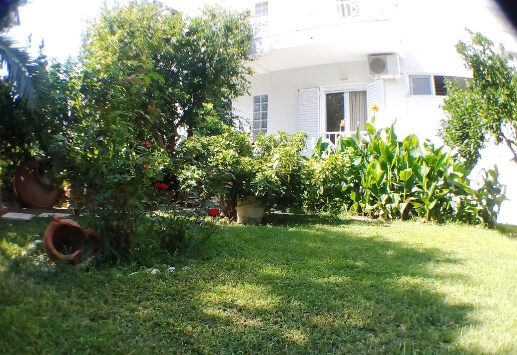 לאוטרה אדיפסאו Araliki Apartments & Studios מראה חיצוני תמונה