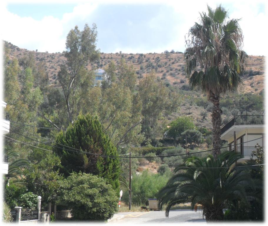 לאוטרה אדיפסאו Araliki Apartments & Studios מראה חיצוני תמונה